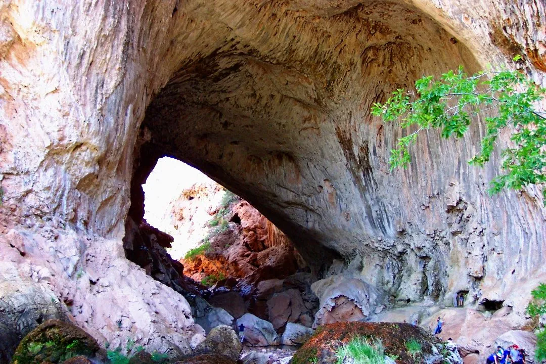 The pale arched underside of a huge travertine rock bridge over a shaded canyon floor with green trees